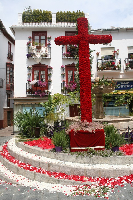 Cruces de Mayo, AMACVA