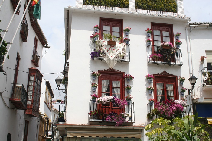 Cruces de Mayo, AMACVA