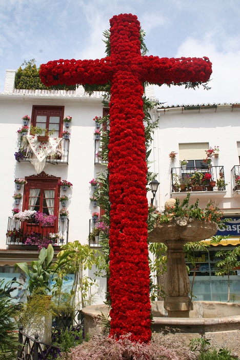 Cruces de Mayo, AMACVA
